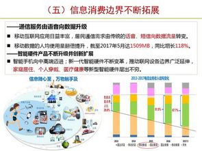 擴(kuò)大信息消費(fèi) 增強(qiáng)內(nèi)生發(fā)展動(dòng)力——互聯(lián)網(wǎng)信息咨詢的創(chuàng)新發(fā)展路徑